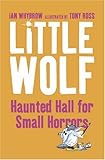 Little Wolf's haunted hall for small horrors