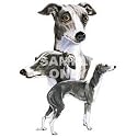 Italian Greyhound Night Light