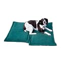 Dog Hog Pet Blanket