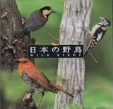 日本の野鳥