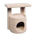 Kitty Condo with Perch