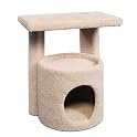 Kitty Condo with Perch