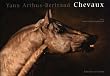 Chevaux