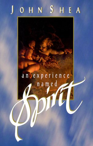 An Experience Named Spirit under Zoroastrianism in The Books Store