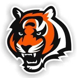 Cincinnati Bengals NFL 12