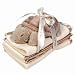 Spill Cloth Set - Baby Turtle