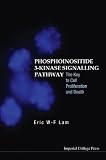 Phosphoinositide 3-kinase Signalling Pathway: The Key to Cell Proliferation And Death