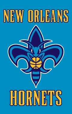 New Orleans Hornets Applique Banner Flag