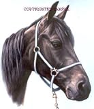 Waiting to Run - Drawing by Cindy Farmer
