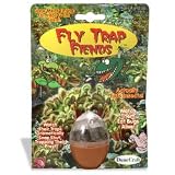 Fly Trap Fiends with Mirco Terrarium