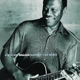 Silvertone Blues by Joe Louis Walker