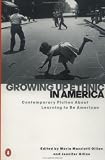 Growing Up Ethnic in America: Contemporary Fiction About Learning to Be American