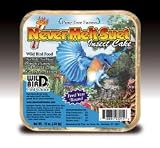 Never Melt Suet Insect 12 oz