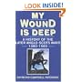 My Wound is Deep: History of the Anglo-Scottish Wars, 1380-1560