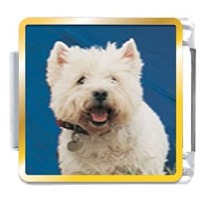 West Highland Terrier Animal Photo Italian Charms Bracelet Link