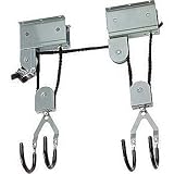 BAC Industries Pulley Hoist - 80-Lb. Capacity
