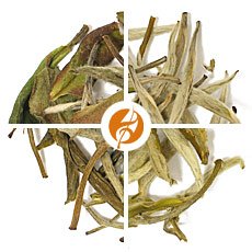 "Silver" White Teas Sampler