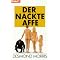 Evolution des Menschen
