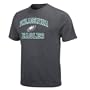 NFL Men's Philadelphia Eagles Heart And Soul Ii Adult Short Sleeve Basic Tee (Charcoal Heather, Medium)