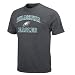 NFL Philadelphia Eagles Heart And Soul II Adult Short-Sleeved Basic Tee