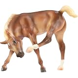 Quickstep-Scratching Foal-Liver Chestnut