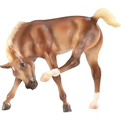Quickstep-Scratching Foal-Liver Chestnut
