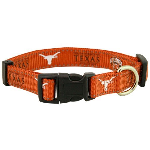 Texas Longhorns Focal Orange Pet Collar