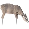 Renzo Whitetail Doe Decoy