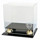 Chicago Bears Coach's Choice Mini Helmet Display