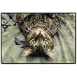 Perculiar Perspective Indoor/Outdoor Doormat