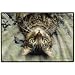 Perculiar Perspective Indoor/Outdoor Doormat