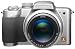 Panasonic Lumix DMC-FZ5S 5MP Digital Camera with 12x Image Stabilized Optical Zoom (Silver)