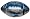 Detroit Lions