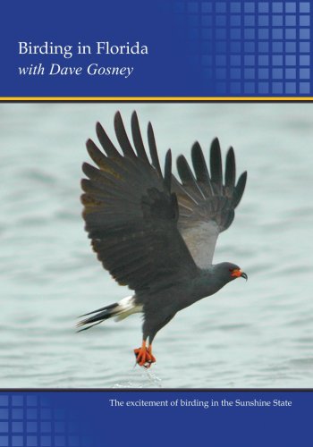 Birding In Florida