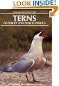 Terns of Europe and North America (Helm Identification Guides)