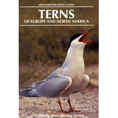 Terns of Europe and North America (Helm Identification Guides)