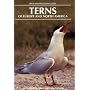 Terns of Europe and North America (Helm Identification Guides)