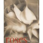 Roses in Bloom Notecards: 20 Assorted Notecards and Envelopes (Deluxe Notecards) by  Thea Schrack