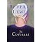 Best Amish Fiction !