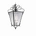 8-Light Foyer Pendant
