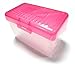 HQ Advance Products Card File Box, Assorted Colors (38101)