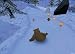 Disney's Brother Bear (PC CD)