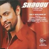 It Wasn't Me - Shaggy