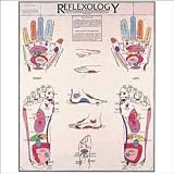 Reflexology Chart