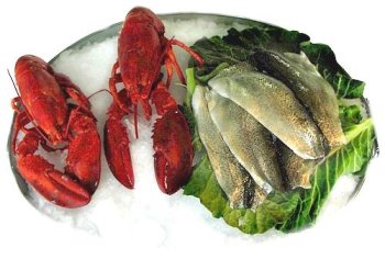 2, 1.25 lb. Lobsters and 2.5 lbs. Fresh Rainbow Trout by Charleston Seafood