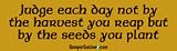 Judge each day not by the harvest you reap but by the seeds you sow - bumper stickers (Large 14x4 inches)