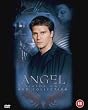 Angel: Series 1 (Standard plastic case packaging) [DVD]