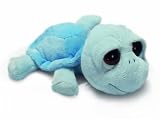 11 Li'l Peeper Turtle Blue