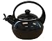 Kitchen & Housewares : Reston Lloyd Ellipse 2-1/2-Quart Enamel-on-Steel Whistling Teakettle, Black
