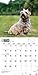 Cairn Terriers 2015 Square 12x12 (Multilingual Edition)
